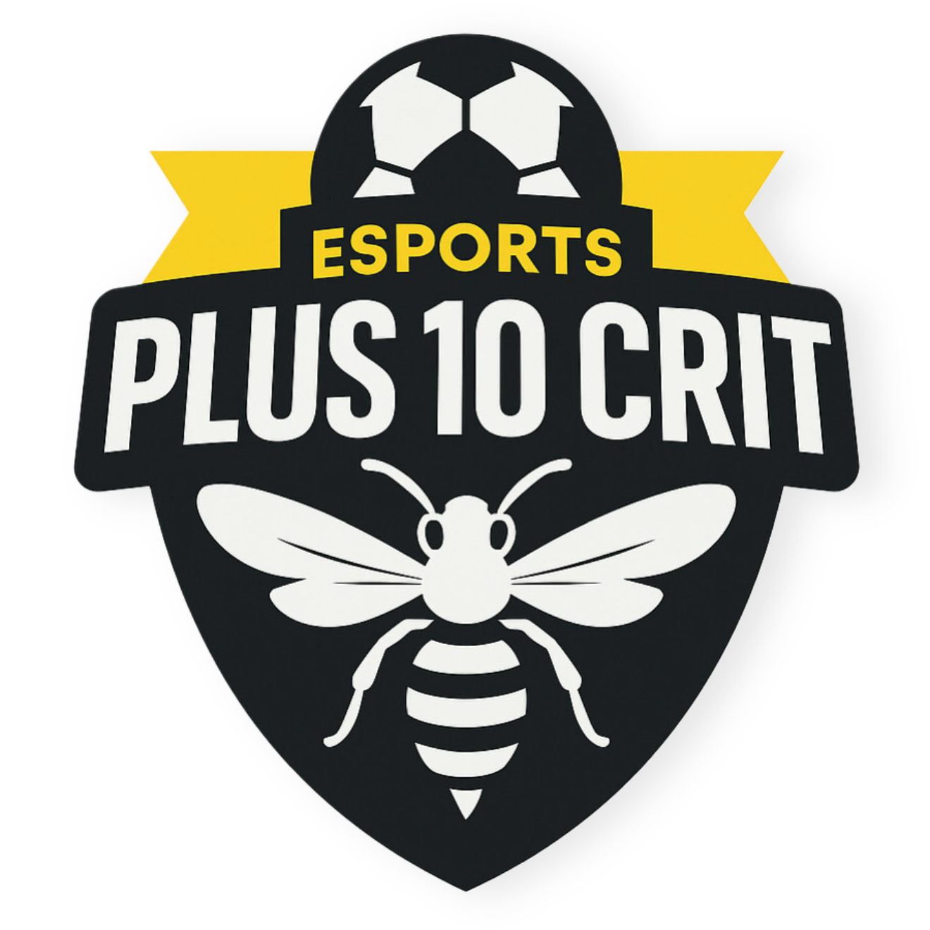 Team crest